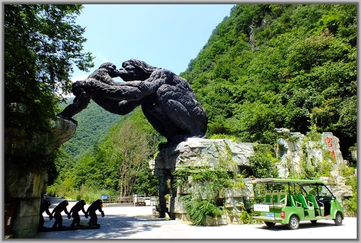 宜昌神农架旅游线路预定