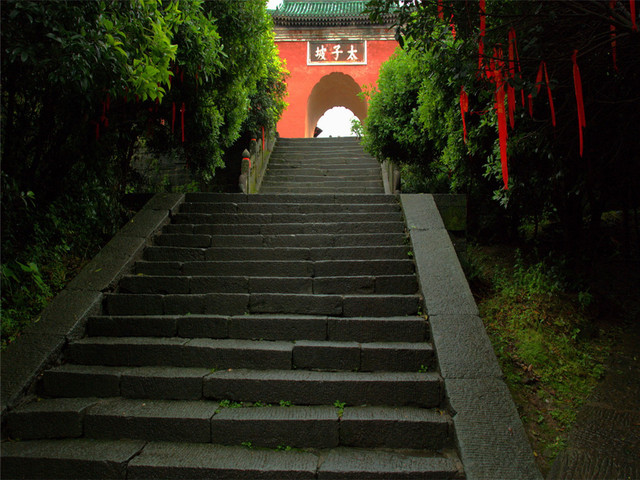 宜昌神农架武当山旅游集散中心